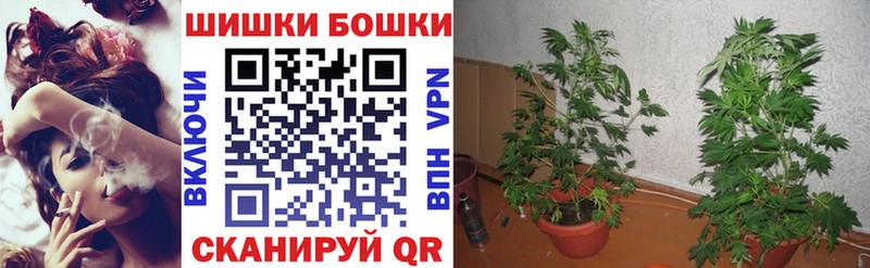 Как найти закладки Кодинск ГАШИШ  COCAIN  Мефедрон  Марихуана 
