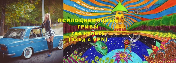 гашик Кулебаки