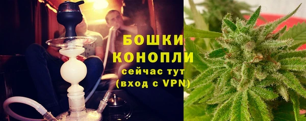 mdpv Заводоуковск